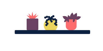Pot Plants for Cube Farm Syndrome